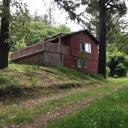 Avenue Of The Giants Caraway Cottage Miranda Dış mekan fotoğraf