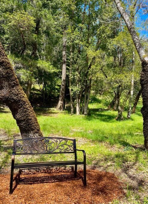 Avenue Of The Giants Caraway Cottage Miranda Dış mekan fotoğraf