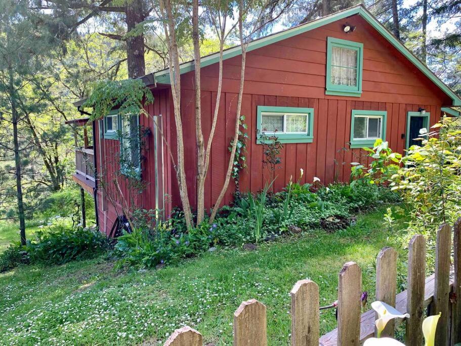 Avenue Of The Giants Caraway Cottage Miranda Dış mekan fotoğraf