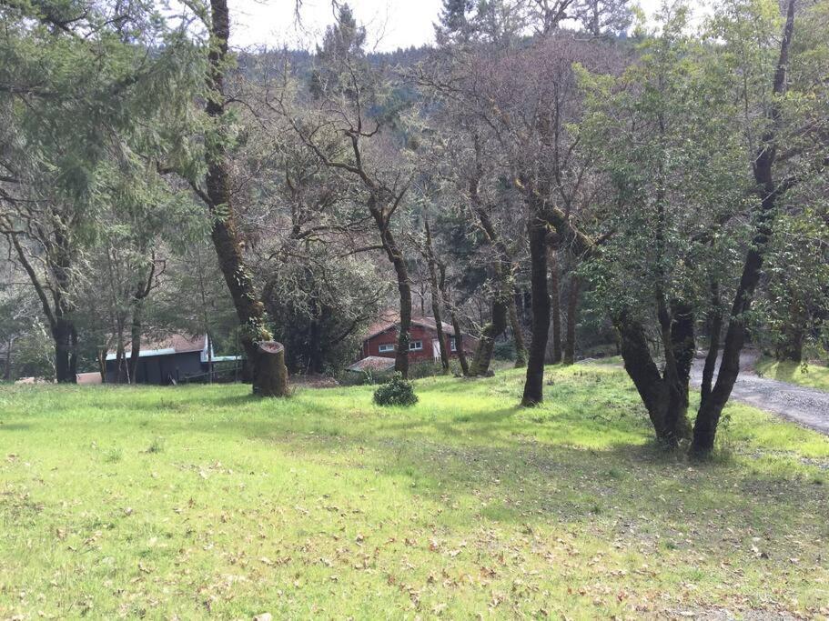 Avenue Of The Giants Caraway Cottage Miranda Dış mekan fotoğraf